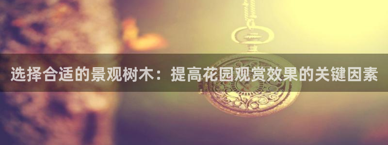 新宝gg最新章节