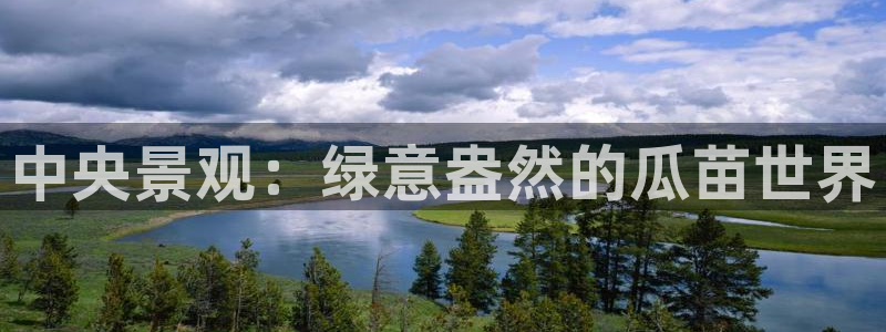 新宝GG挂机：中央景观：绿意盎然的瓜苗世界