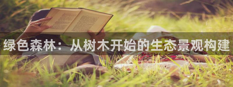 新宝gg如何代理