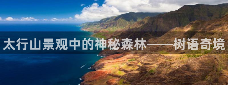 新宝gg开奖结果