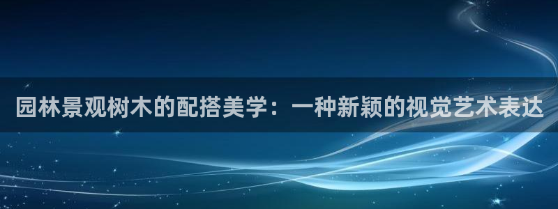 gg新宝gg