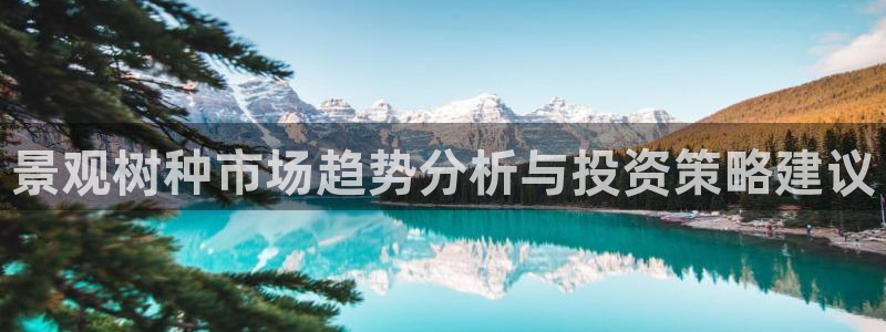 新宝gg直属