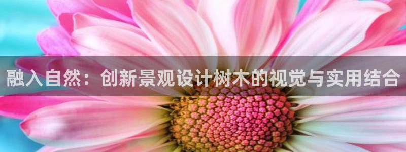 新宝gg漏洞：融入自然：创新景观设计树木的视觉与实用结合